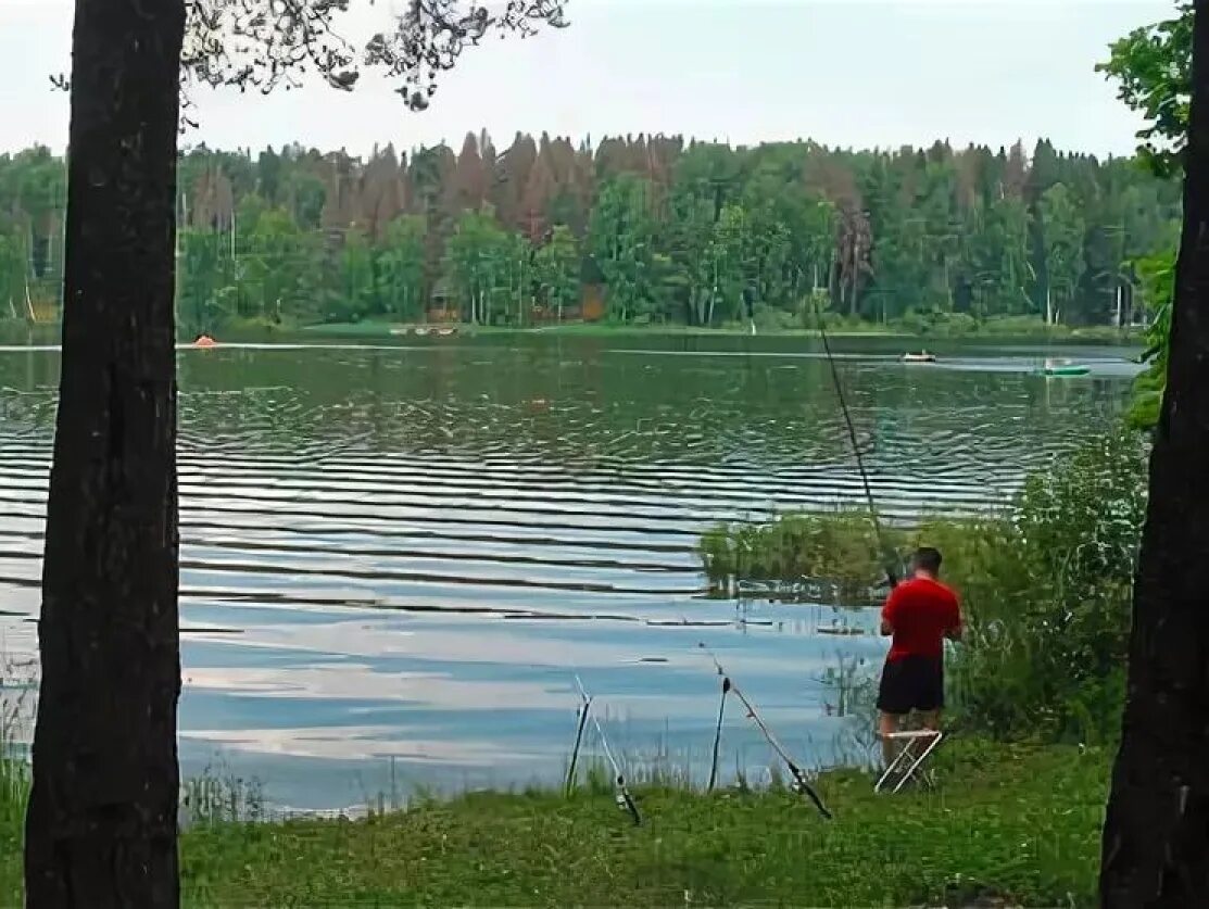 Истра водохранилище рыбалка. Истринское водохранилище рыбалка. Рыбалка в Трусово Истринское водохранилище. Ламишино рыбалка Истринское водохранилище. Истринское водохранилище отчеты