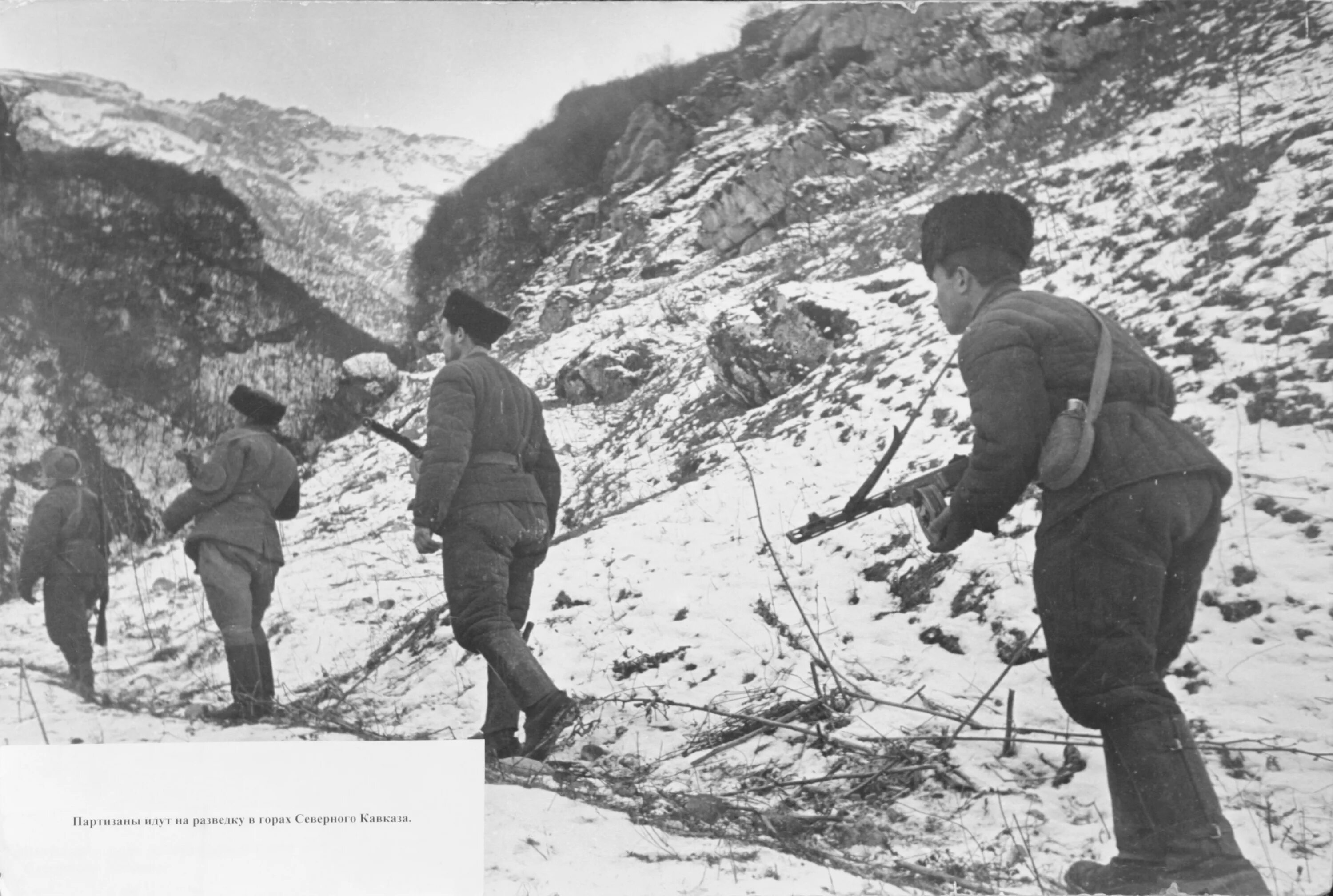 Советский северный кавказ. Битва за Кавказ 1942-1943. Битва за Кавказ 1943 год. Битва за Кавказ 1942. Битва за Кавказ 1942-1943 операция Эдельвейс.