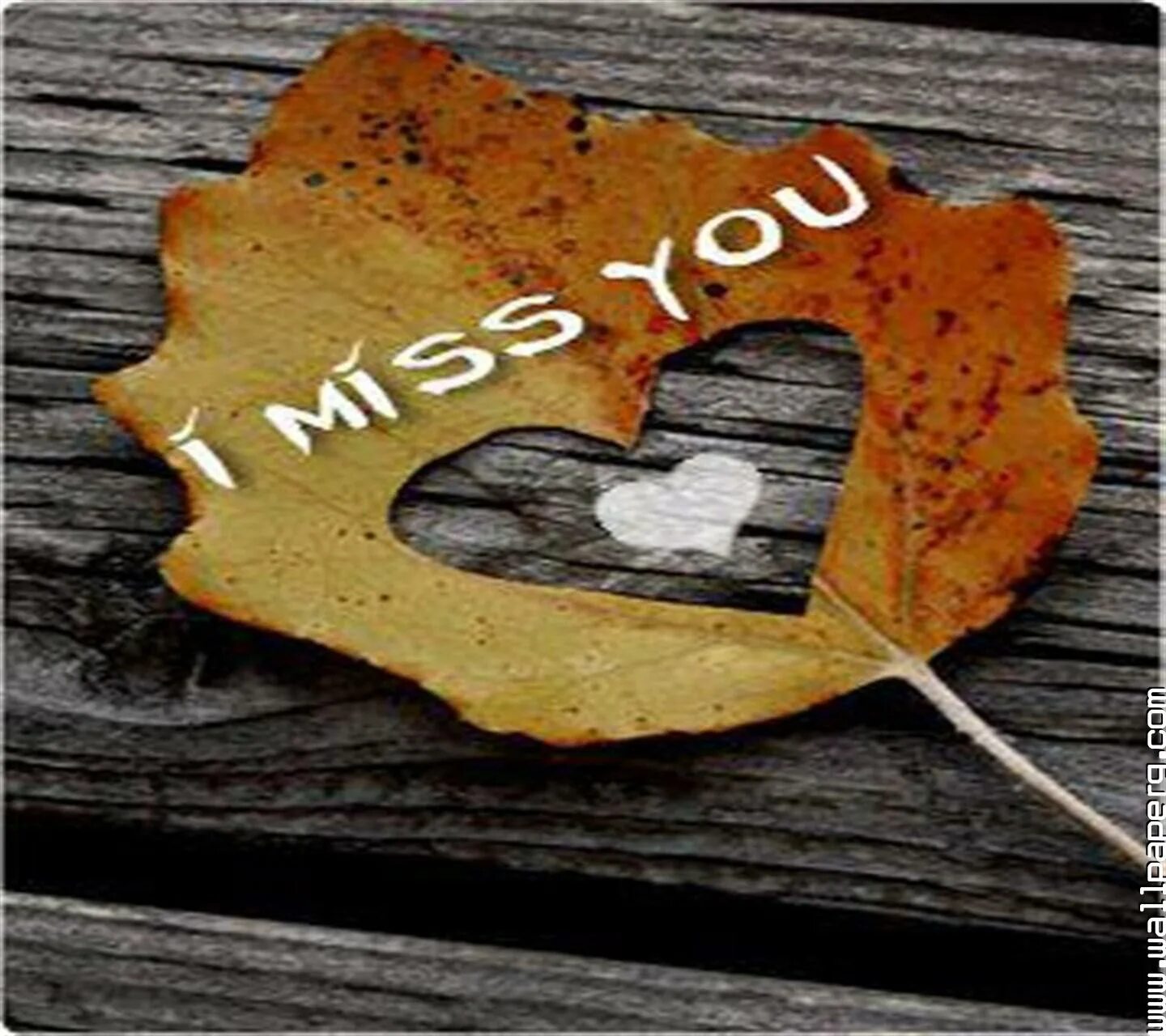 I Miss you картинки красивые. Картинки i Miss you осенние. Открытка i Miss you подруге. Miss u на аву. Miss you a lot