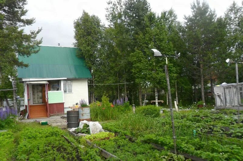 Дачи до реки Лодьма. СНТ Алмаз домики Архангельск. СНТ транспортник Лодьма фото. СНТ Лахтинское строительство бани. Купить дачу архангельск снт