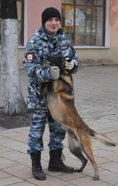 Кинолог рязань. Кинологический колледж в рязани. Рязанский колледж электроники. Кинолог рязань колледж. Кинолог рязань.