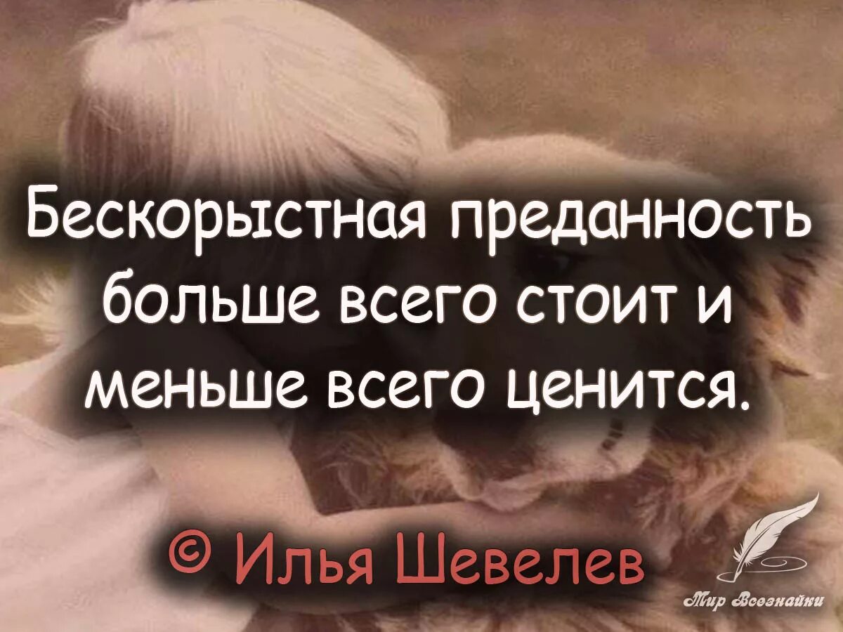 Высказывания о преданности. Афоризмы про преданность. Цитаты про верность. Мудрые цитаты о верности. Искренность верность