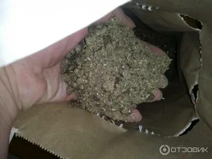 Труха тг