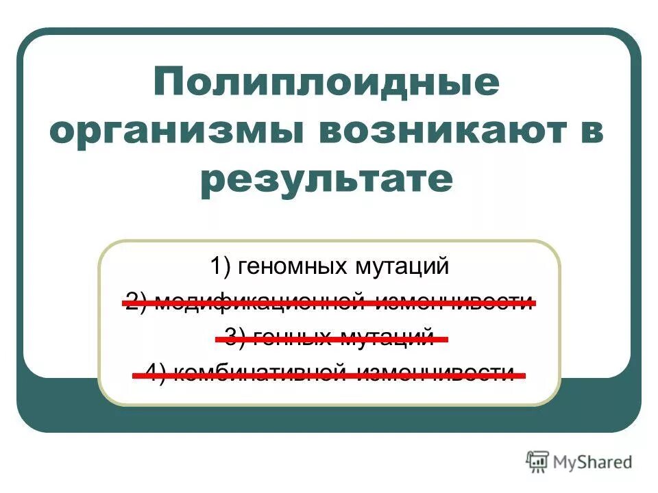 Возникновение полиплоидных форм растений это пример изменчивости Полиплоидизация примеры