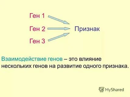 Целостная система норм