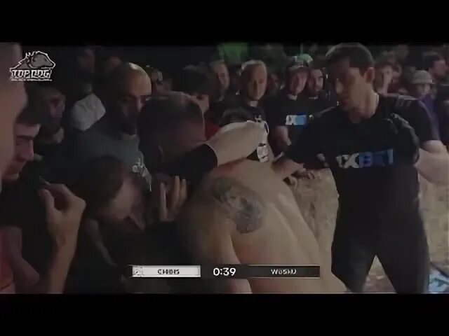 Панда топ дог. Топ дог сегодня прямой эфир. Топ дог сегодня прямой эфир. Топ дог сегодня прямой эфир. Топ дог сегодня прямой эфир.