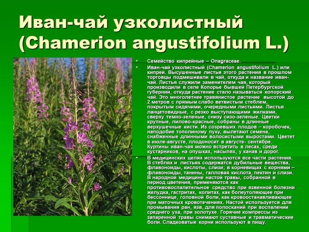 Применения и названия лекарственных