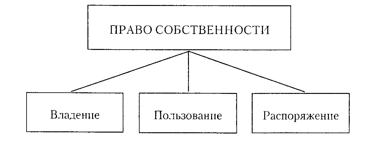 Собственность н п. Право собственности:владение схема. Собственность и право собственности.