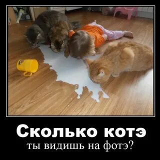 Смешное про семью