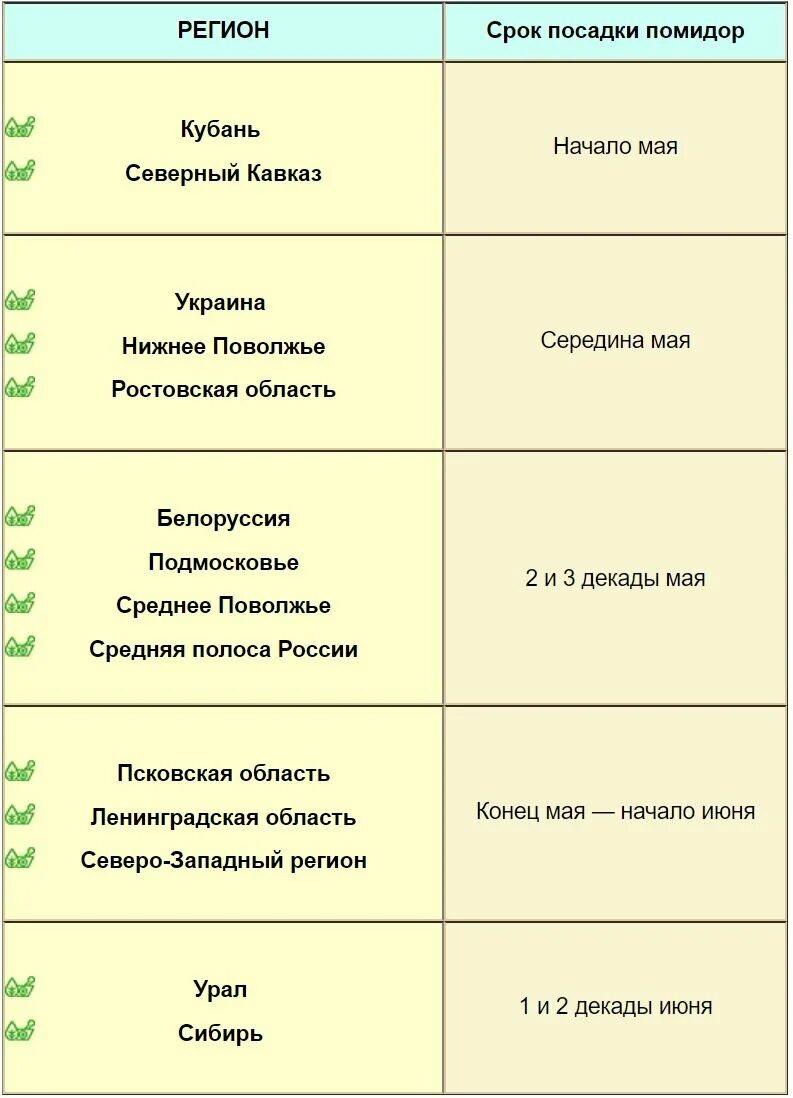 Время высадки помидор. Сроки посева семян томата. Сроки посадки семян томатов на рассаду. Сроки высадки рассады томатов в грунт. Срок посадки томатов в открытый.