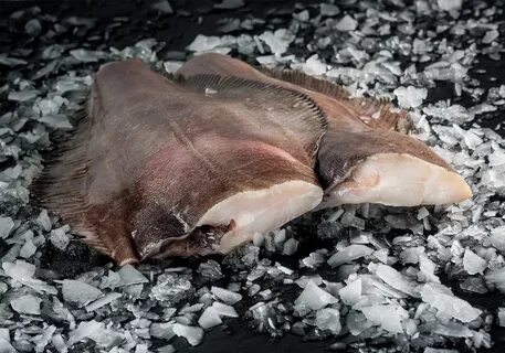 Можно ли заморозить палтус