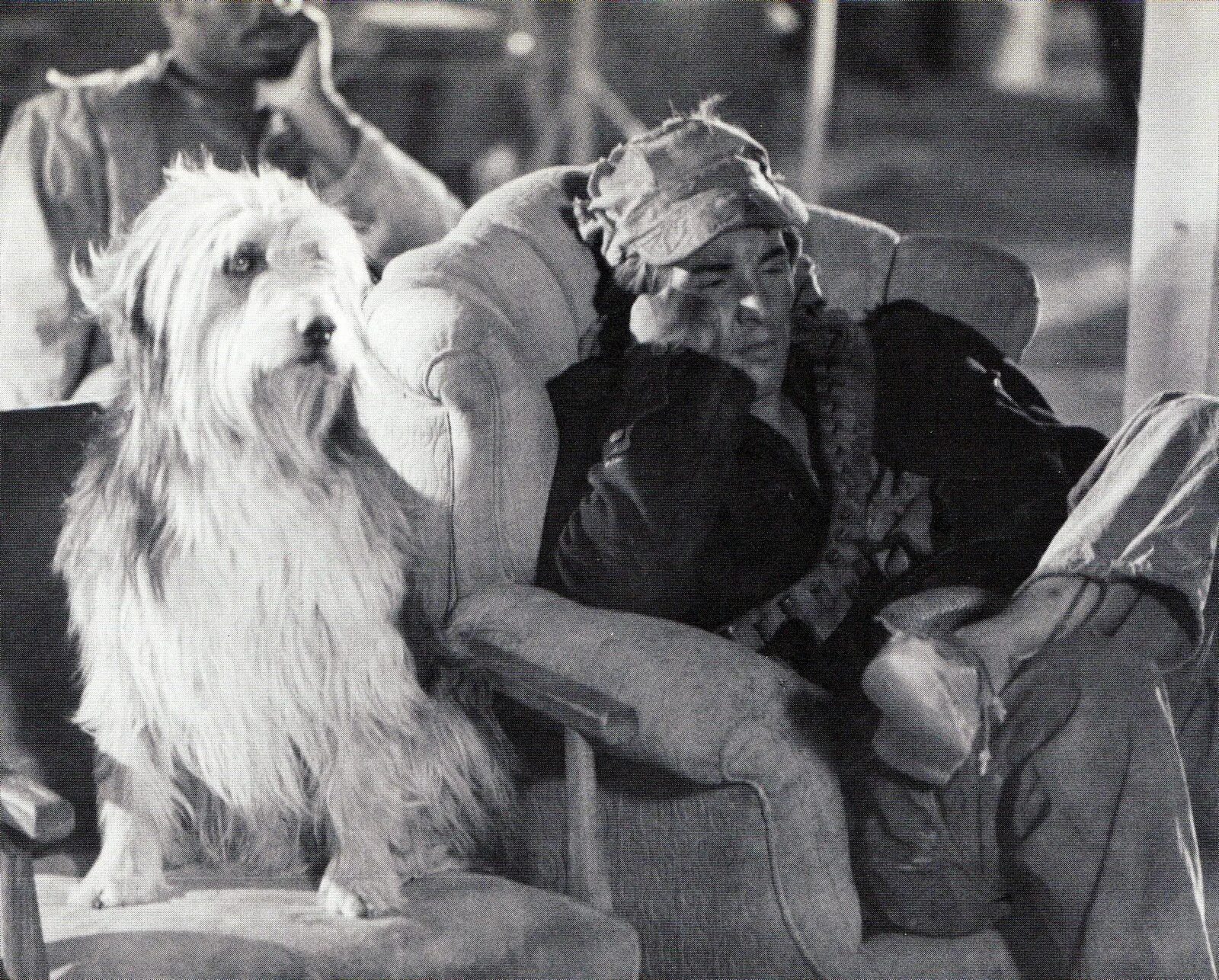 Парень и его пёс 1974. The boy is his dog. A boy and his dog. Парень и его пёс 1974. The boy is his dog.