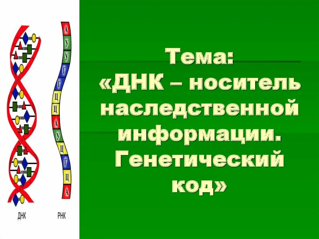 Совокупность всех носителей наследственной информации. Носитель генетической информации. днк носитель генетической информации. днк как носитель наследственной информации. генетический код презентация.