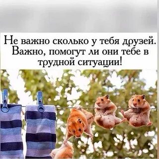 Друг который всегда поможешь и поддержишь