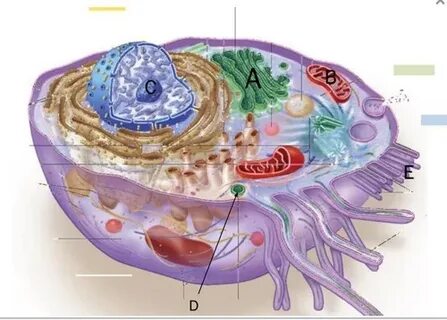 Солдаттар орыс порно онлайн