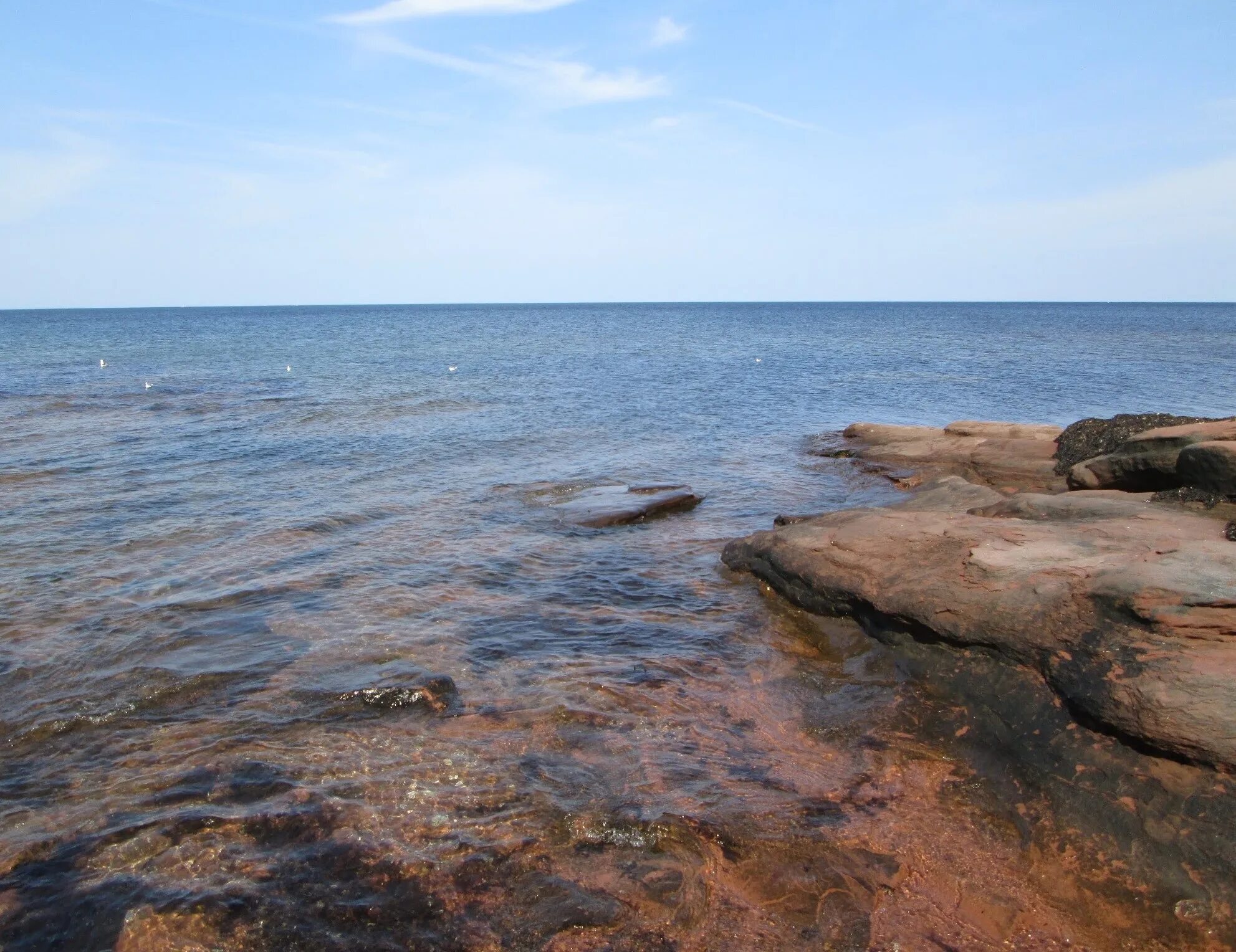 Море Береговая линия. Красное море берег. Фотография прибрежного моря. Береговая линия фото.