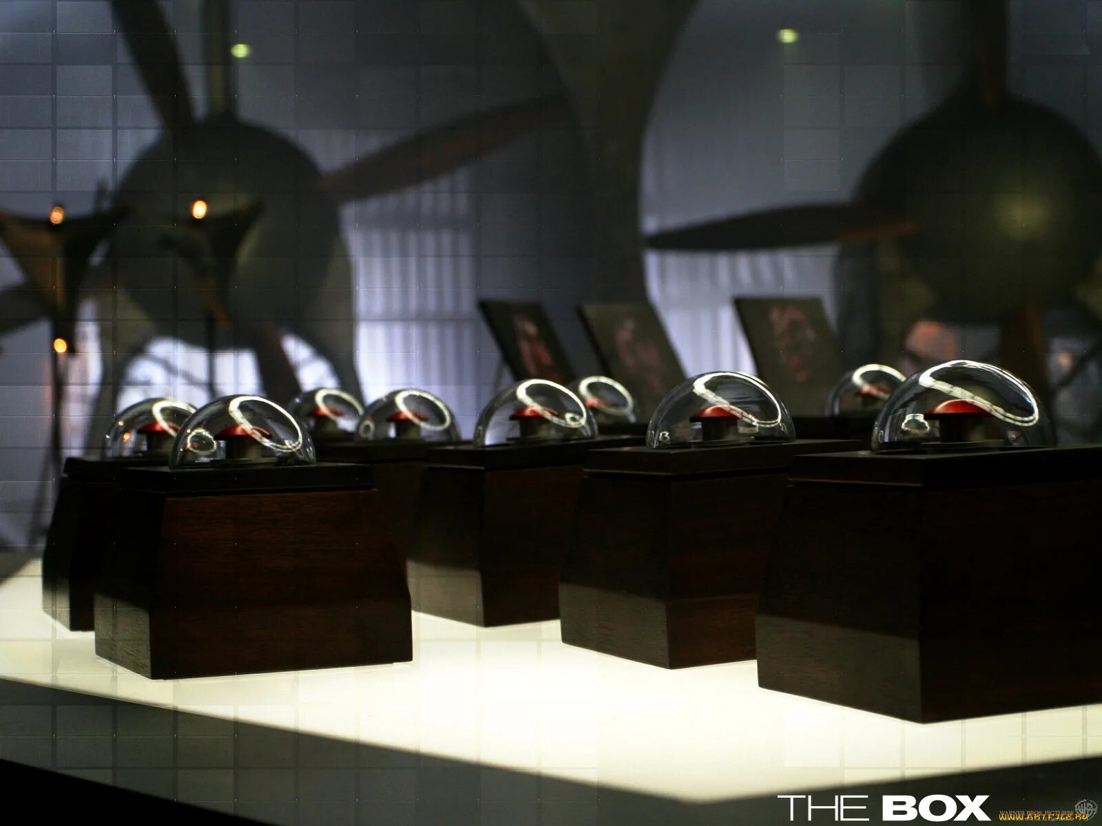 The box part 2. The box. the box фильм 2025. box обои. the box 108.