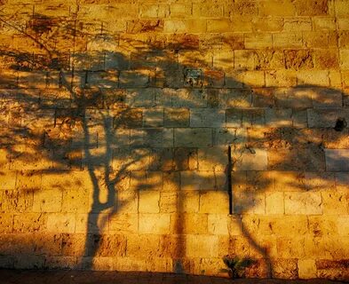 Wall of shadow