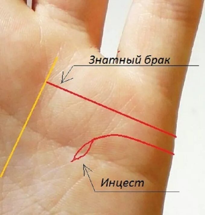 Линия детей на руке фото с расшифровкой. Хрестоматия по руке линия брака. Линия замужества на руке. Линия брака и детей на руке. Линия брака и линия детей на руке.
