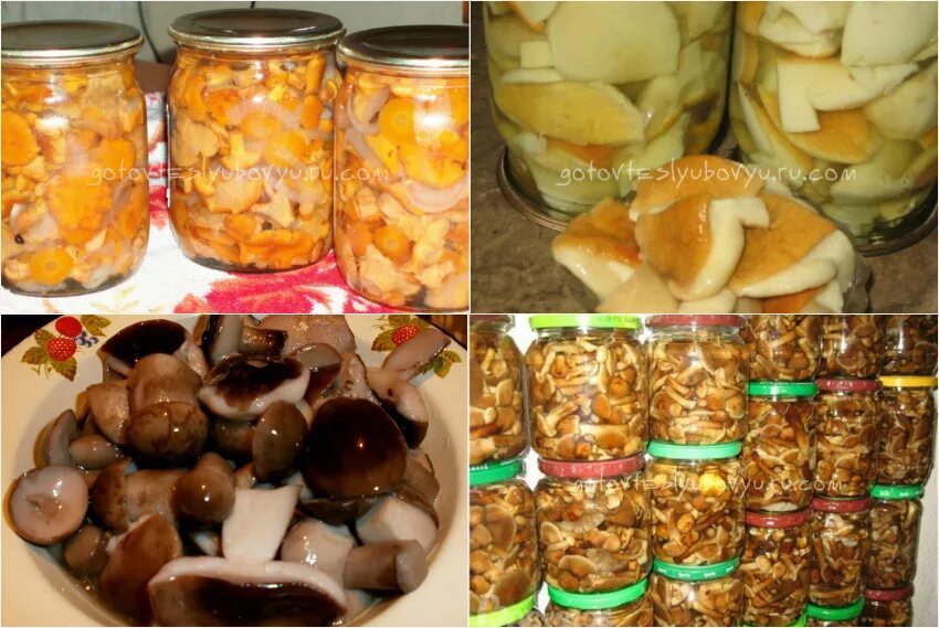 Что вкусного можно приготовить на зиму. Белый гриб маринование на зиму. маринад для грибов на зиму. маринованные белые грибы на зиму в банках. грибы на зиму в банках простой.