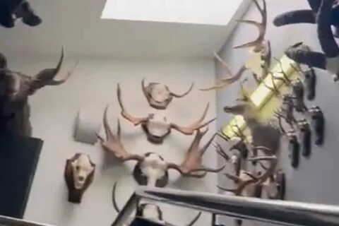 Устроили выставку