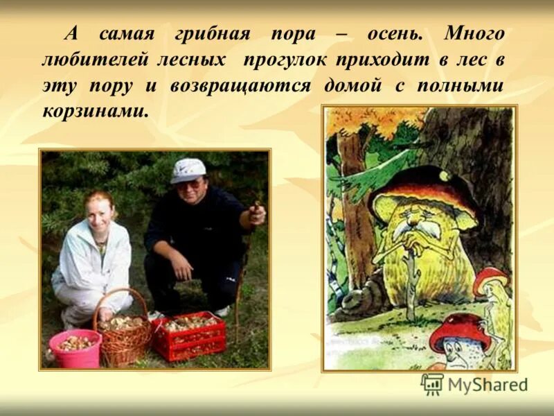 грибная пора предложение