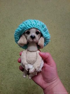 Молли песиком