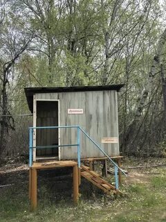 Дубовая грива
