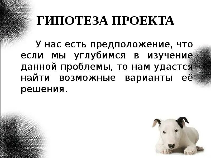 Гипотеза 4 класс