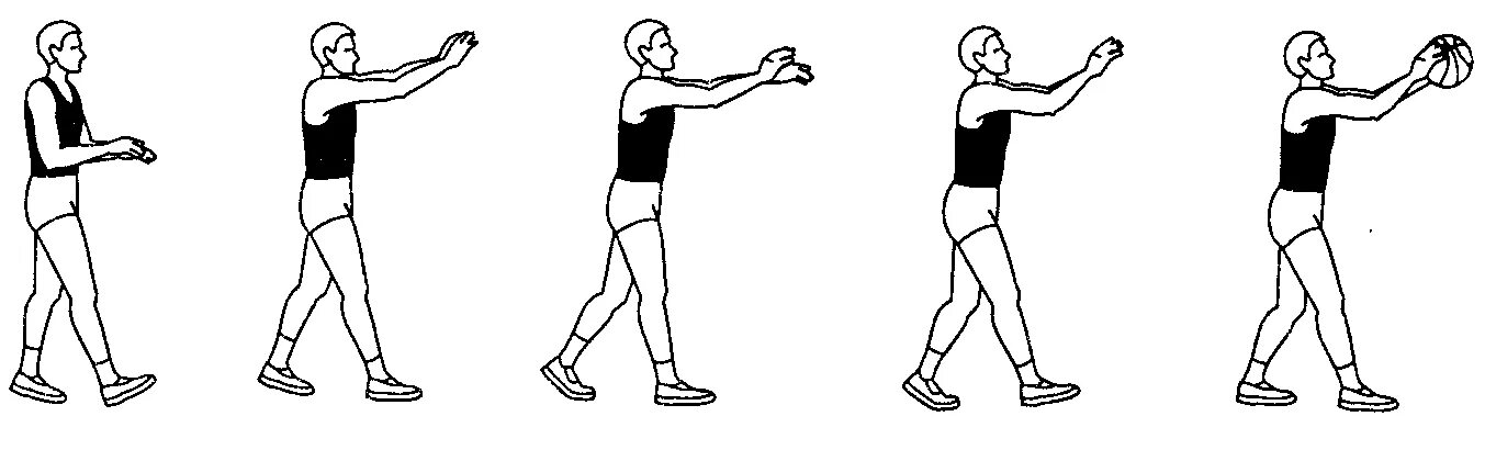 Ловля и передача в движении. Ловля мяча 2 руками в баскетболе. Баскетбол техника ловли мяча 2 руками. Ловля мяча двумя руками в гандболе. Техника ловли мяча двумя руками от груди в баскетболе.