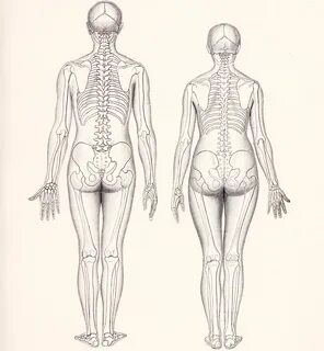 Most people have either a penis and scrotum or a vulva but each persons gen...