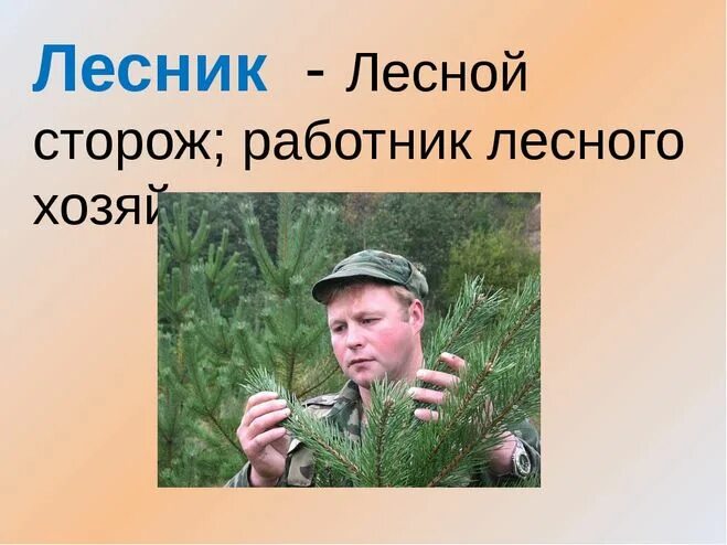 Сторож деревьев. Лесник профессия. Профессия лесника для дошкольников. Лесничий профессия. Лесник в лесу для дошкольников.