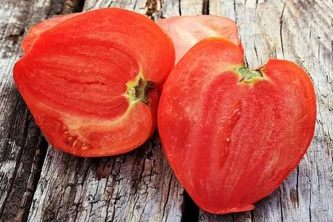 Сорт томата сердце буйвола фото и описание