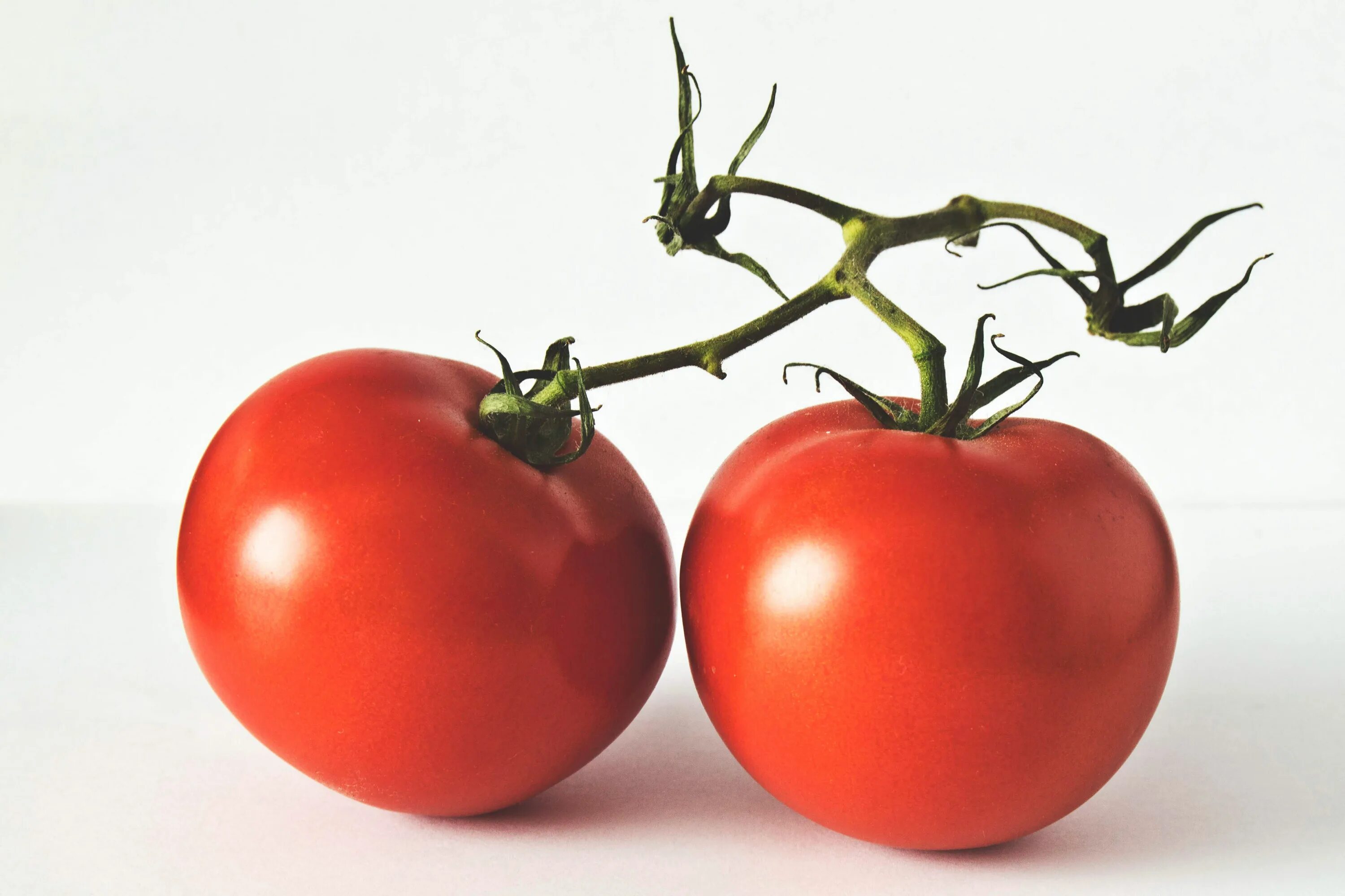 Are fruit tomatoes