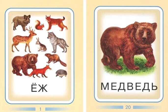 Домашние животные дикие животные карточку. Карточки с животными для детей. Карточки "Дикие животные". Дикие животные для детей. Карточки с изображением животных для детей.