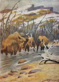 Флеров картины