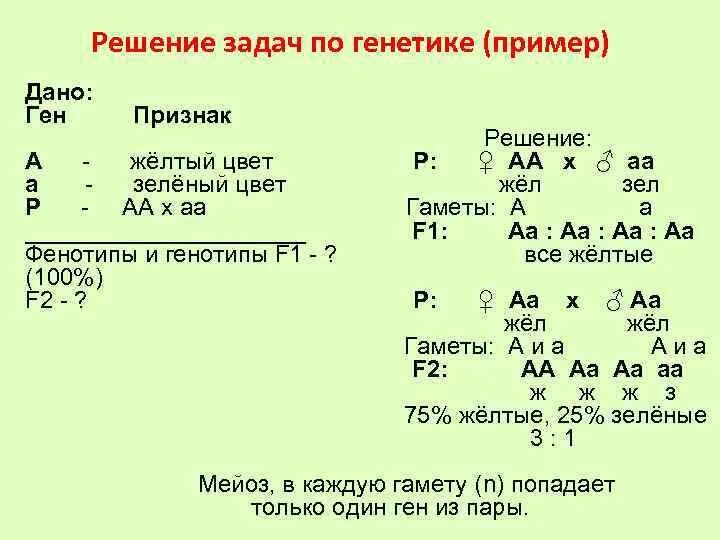 Решение задач по генетике с ответами