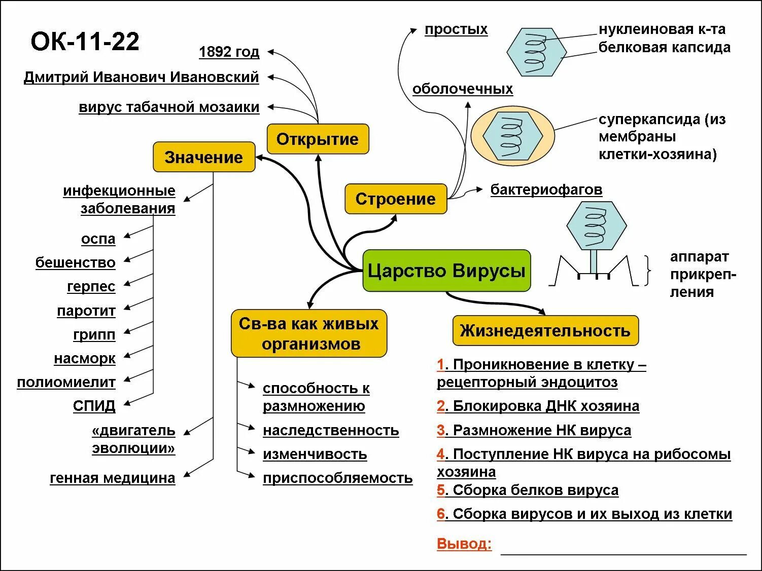 Классификация и морфология вирусов таблица. Вирусы микробиология классификация вирусов. Вирусы таблица по биологии 9 класс. Вирусы таблица егэ. Тема вирусы егэ.