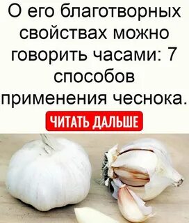 День любителей чеснока