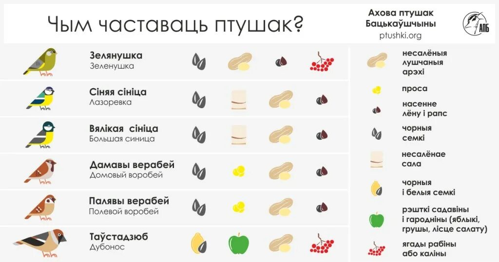 Можно кормить птиц семечками подсолнечника. Корма для зимующих птиц. подкармливать птиц. чем можно кормить птиц а чем нельзя. чем кормить зимующих птиц.