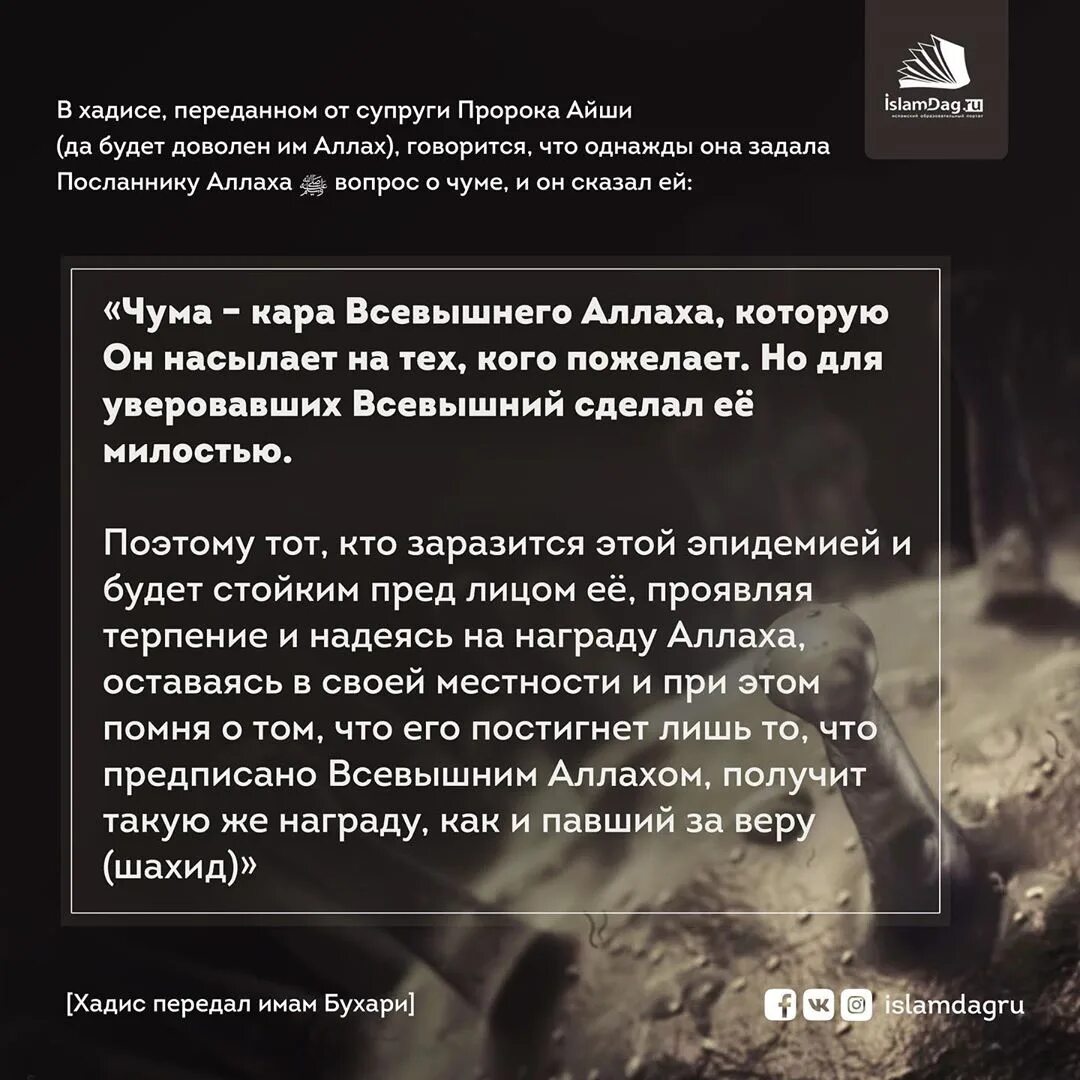 Хадис где говорится. Хадисы. высказывания пророка. хадисы пророка достоверные. хадисы о жизни достоверные пророка.
