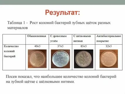 Размеры колоний