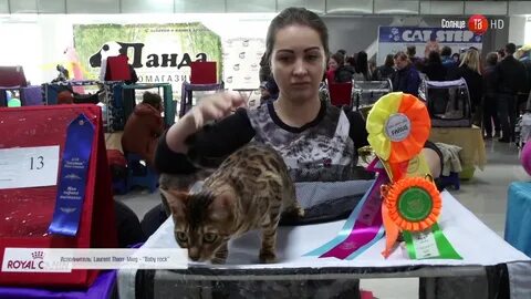 Веер молл выставка кошек