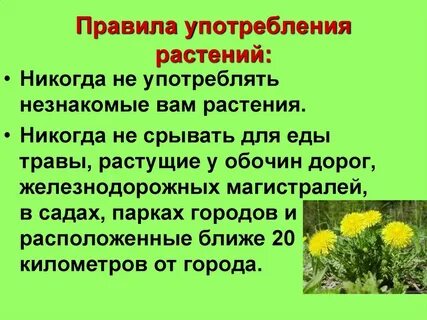 Правила применения в походных