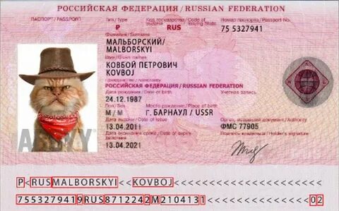Как узнать новый номер в сфр 2024