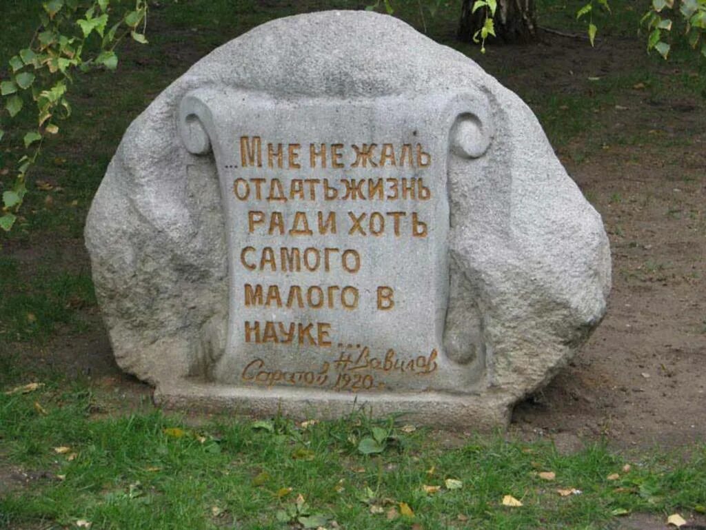 Не жалко отдать. Смерть Вавилова. Памятник Вавилову в Саратове.