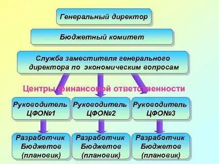 Директор по хозяйственным вопросам