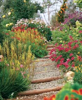 Plant country