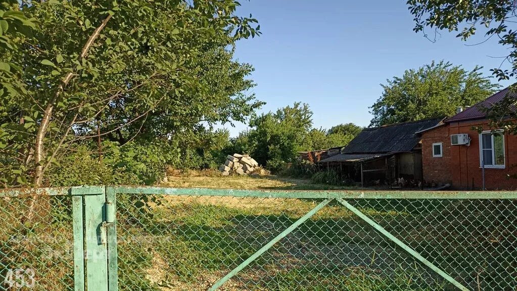 Станица медведовская. Станица медведовская. День станицы медведовская. Медведовске. Медведовская больница.