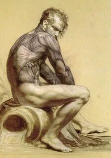 Anatomy for artists